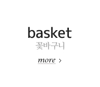 꽃바구니