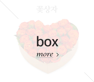 꽃상자
