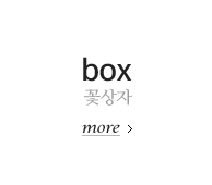 꽃상자