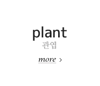 관엽 