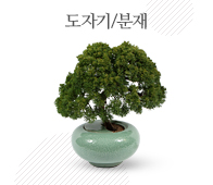 도자기/분재