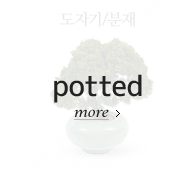도자기/분재