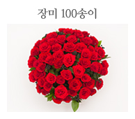 장미 100송이 