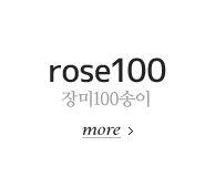 장미 100송이 