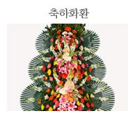 축하화환